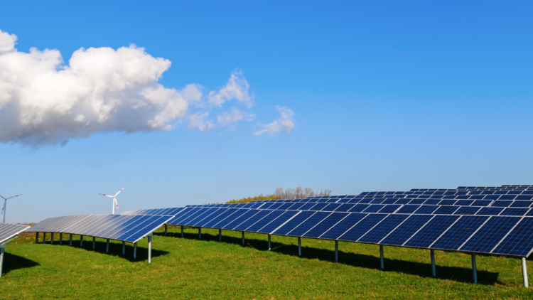 SolarEdge تعين ماوز سيغرون كمدير مالي جديد اعتبارًا من 31 مايو 2026 SolarEdge تعين ماوز سيغرون كمدير مالي جديد اعتبارًا من 31 مايو 2026