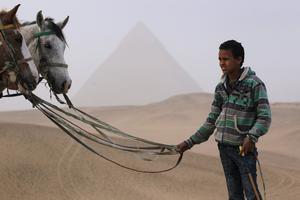 اقتصاد مصر: مواجهة التحديات المستقبلية اقتصاد مصر: مواجهة التحديات المستقبلية