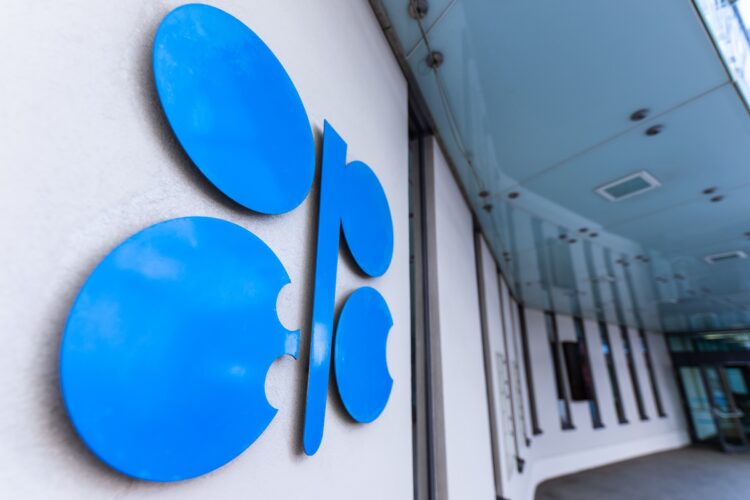 الإمارات تغادر أوبك في ضربة جديدة للمنظمة الإمارات تغادر أوبك في ضربة جديدة للمنظمة