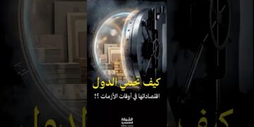 الاحتياطي النقدي الأجنبي ركيزة الاستقرار الاقتصادي