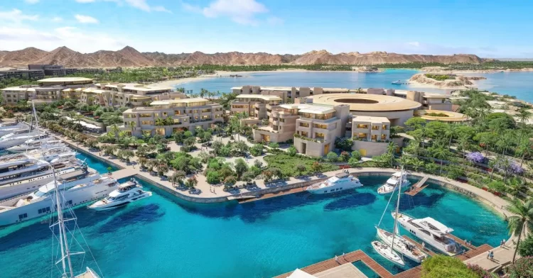 السعودية: أمالا تُعترف في تقرير العافية العالمي السعودية: أمالا تُعترف في تقرير العافية العالمي