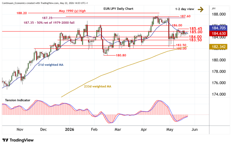 تحديث مخطط EUR/JPY: تداول هادئ اليوم تحديث مخطط EUR/JPY: تداول هادئ اليوم