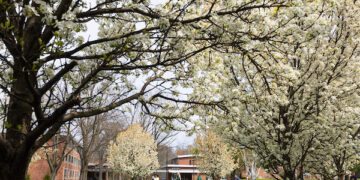 جامعة بينغهامتون تسهم بـ 1.79 مليار دولار في نيويورك
