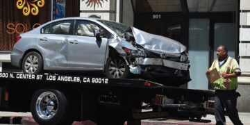 مقتل 1.7 مليون حيوان على طرق أمريكا في حوادث السيارات بتكلفة 10 مليارات دولار للاقتصاد الأمريكي