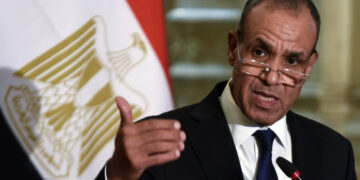 وزير المالية يدعو لتعزيز التعاون المؤسسي لدعم الاقتصاد المصري