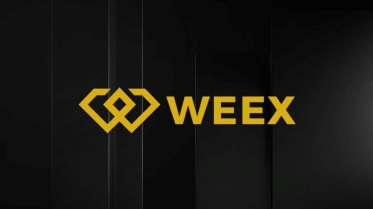 ويكس تطلق دليل تداول بيتكوين يشمل التحليلات المختلفة ويكس تطلق دليل تداول بيتكوين يشمل التحليلات المختلفة