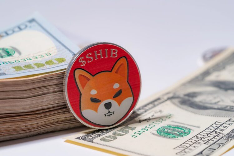 164 مليار شiba Inu (SHIB) في 24 ساعة: تراجع صافي التدفقات 164 مليار شiba Inu (SHIB) في 24 ساعة: تراجع صافي التدفقات