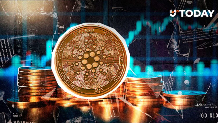 ADA تصل إلى نقطة حاسمة قبل انتهاء الشهر الهابط ADA تصل إلى نقطة حاسمة قبل انتهاء الشهر الهابط