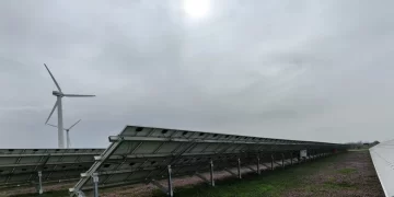 EDF تجري محادثات لبيع أنشطة الطاقة المتجددة بأمريكا الشمالية مقابل 4 مليارات يورو