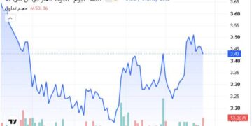 أبوظبي للأوراق المالية تستحوذ 5 أسهم على 35% من قيمة التداولات اليوم