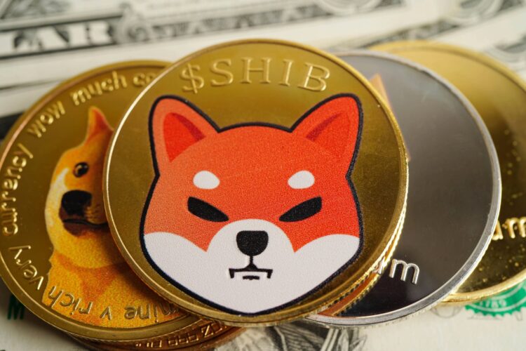 أكبر سوق في اليابان يضيف شيبا إينو (SHIB) ودوجكوين لـ23 مليون مستخدم أكبر سوق في اليابان يضيف شيبا إينو (SHIB) ودوجكوين لـ23 مليون مستخدم