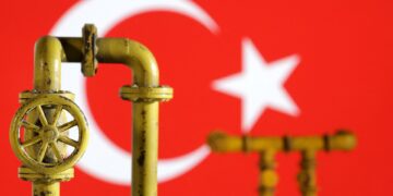 ألمانيا تؤكد ضرورة استبعاد الغاز الروسي من عقود استيراد تركيا الجديدة