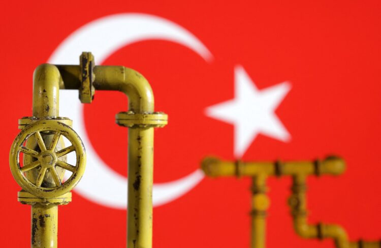 ألمانيا تؤكد ضرورة استبعاد الغاز الروسي من عقود استيراد تركيا الجديدة ألمانيا تؤكد ضرورة استبعاد الغاز الروسي من عقود استيراد تركيا الجديدة