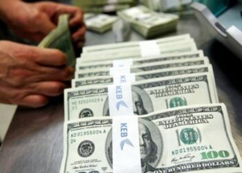 استقرار الدولار مقابل الجنيه المصري عند مستويات 49.5 جنيه في البنوك اليوم