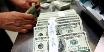 استقرار الدولار مقابل الجنيه المصري عند مستويات 49.5 جنيه في البنوك اليوم
