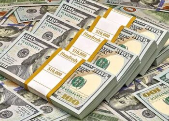 استقرار سعر الدولار أمام الجنيه المصري اليوم الخميس 25 يونيو 2026