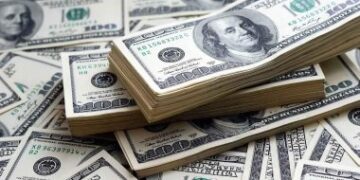 استقرار سعر الدولار أمام الجنيه المصري عند 49.46 جنيه السبت