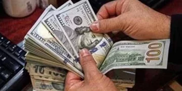 استقرار سعر الدولار مقابل الجنيه المصري في البنوك الأحد 21-6-2026