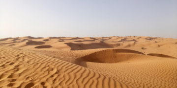 استيراد السعودية للرمال رغم وفرتها في الصحراء