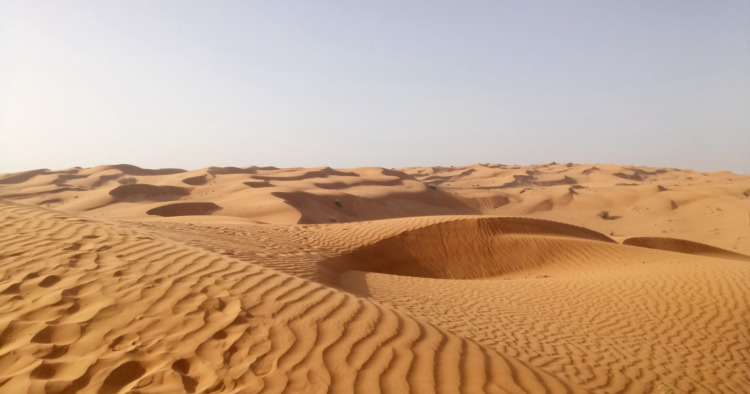 استيراد السعودية للرمال رغم وفرتها في الصحراء استيراد السعودية للرمال رغم وفرتها في الصحراء