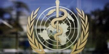 الطاقة المتجددة تصل إلى 544 واط للفرد والتمويل يتجاوز 24.6 مليار دولار