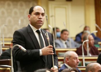 النائب عمرو درويش يشدد على أهمية الحساب الختامي لتقييم تنفيذ موازنة مصر