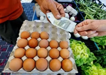 اليورو دولار ينخفض 0.3% مع ضعف توقعات التضخم في منطقة اليورو