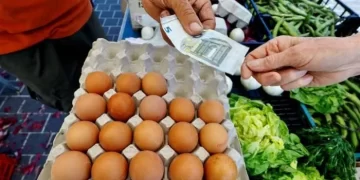 اليورو دولار ينخفض 0.3% مع ضعف توقعات التضخم في منطقة اليورو