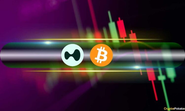 بتكوين يعاود الارتفاع فوق 63000 دولار وسول وهب واكتساب زاك مكاسب كبيرة