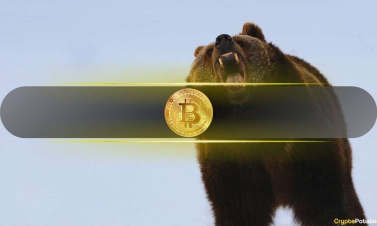 بدء المرحلة الأكثر تأثراً في سوق الدب بيتكوين بدء المرحلة الأكثر تأثراً في سوق الدب بيتكوين