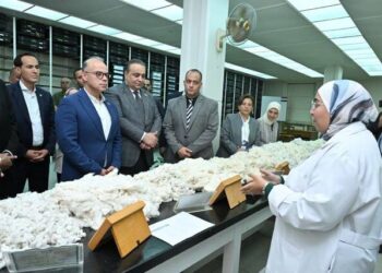 بورصة مصر ترتفع بعد توجيهات بتسريع رقمنة منظومة القطن المصري