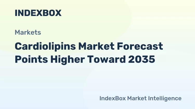 توقعات نمو سوق الكارديوليبِين حتى عام 2035 توقعات نمو سوق الكارديوليبِين حتى عام 2035
