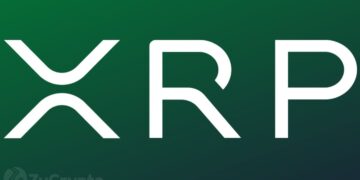 حيتان XRP تتخلص من 60 مليون توكن قبيل التحرك الكبير المقبل