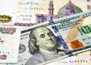سعر الدولار أمام الجنيه يتراجع دون 50 جنيها في مصر الثلاثاء