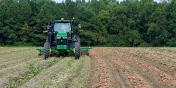 كيف تدعم الزراعة والغذاء الاقتصاد الأمريكي – AgriNews