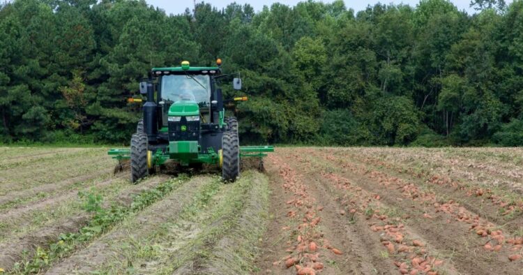 كيف تدعم الزراعة والغذاء الاقتصاد الأمريكي – AgriNews كيف تدعم الزراعة والغذاء الاقتصاد الأمريكي – AgriNews