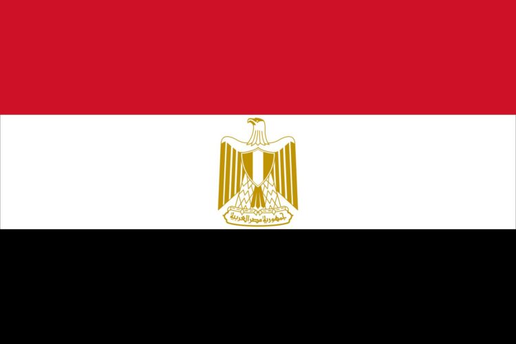 مصر: السكان والهجرة والتحضر مصر: السكان والهجرة والتحضر
