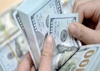مصر تواجه تحديات تمويلية في التجارة الإفريقية وسط ضغوط سيولة الدولار