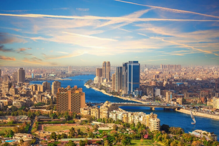 معدل التضخم الحضري السنوي في مصر ينخفض إلى 14.6% مايو 2026 معدل التضخم الحضري السنوي في مصر ينخفض إلى 14.6% مايو 2026