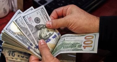 استقرار سعر الدولار أمام الجنيه المصري في البنوك عند مستويات ثابتة استقرار سعر الدولار أمام الجنيه المصري في البنوك عند مستويات ثابتة