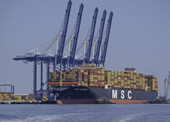 MSC تطلق خدمة أفونغي للنقل البحري لدعم مشروع الغاز الطبيعي المسال في موزمبيق 2026