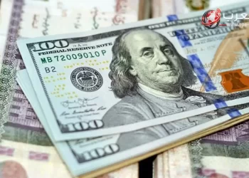 أدنى سعر للدولار مقابل الجنيه عند 49 جنيها للشراء في بنوك مصر الجمعة