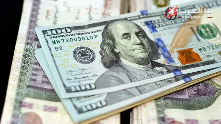 أدنى سعر للدولار مقابل الجنيه عند 49 جنيها للشراء في بنوك مصر الجمعة أدنى سعر للدولار مقابل الجنيه عند 49 جنيها للشراء في بنوك مصر الجمعة