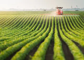 الصندوق الدولي للتنمية الزراعية يسعى لجذب مستثمرين سعوديين في السندات المستدامة