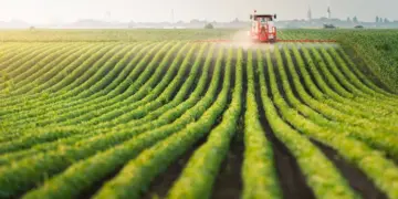 الصندوق الدولي للتنمية الزراعية يسعى لجذب مستثمرين سعوديين في السندات المستدامة