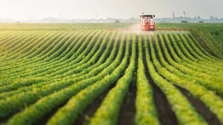 الصندوق الدولي للتنمية الزراعية يسعى لجذب مستثمرين سعوديين في السندات المستدامة الصندوق الدولي للتنمية الزراعية يسعى لجذب مستثمرين سعوديين في السندات المستدامة