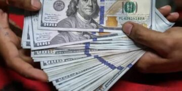 ثبات سعر الدولار الأمريكي أمام الجنيه المصري اليوم الخميس 2 يوليو 2026