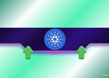 صعود ADA خلال أسبوع مع ترقب ترقية ريالفاي في 6 يوليو
