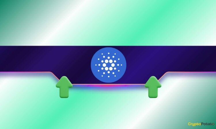 صعود ADA خلال أسبوع مع ترقب ترقية ريالفاي في 6 يوليو صعود ADA خلال أسبوع مع ترقب ترقية ريالفاي في 6 يوليو