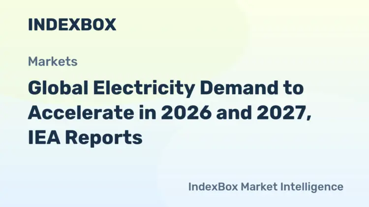 وكالة الطاقة الدولية تتوقع ارتفاع استهلاك الكهرباء 3.6% في 2026 وسط اضطرابات شحنات LNG وكالة الطاقة الدولية تتوقع ارتفاع استهلاك الكهرباء 3.6% في 2026 وسط اضطرابات شحنات LNG